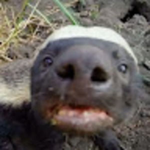 Meet your Posher, Joshua